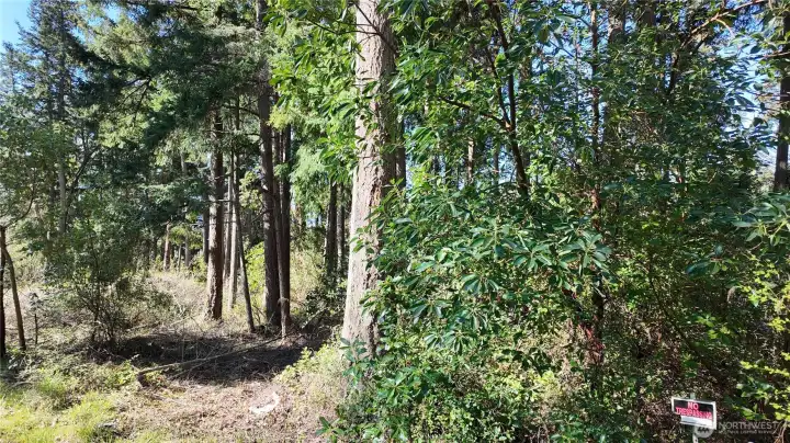 Go Explore Go Explore