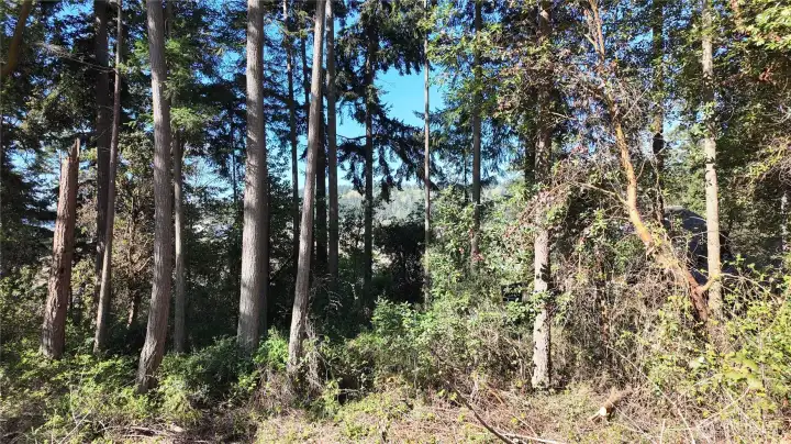 Build Trails Build Trails