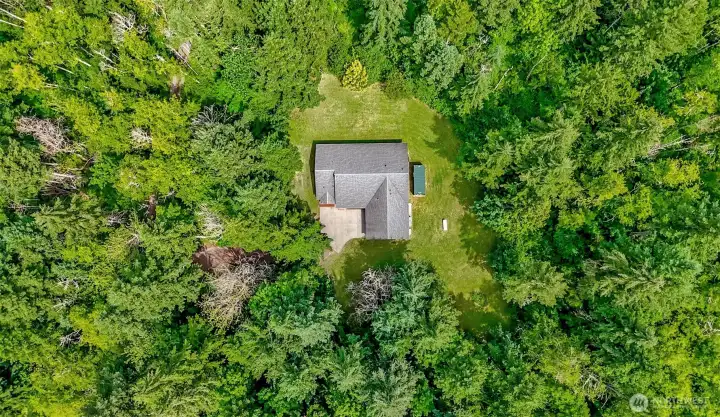 Your private retreat surround by 5 acres of beautiful old growth.