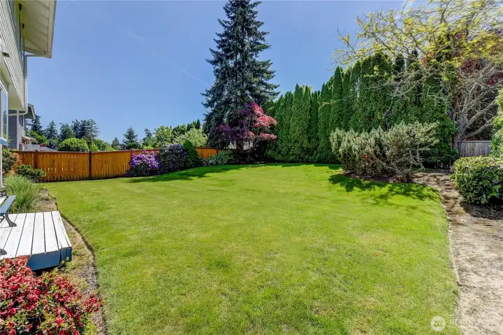 Great back yard, just waiting for you to have your friends and family over for a summer BBQ.