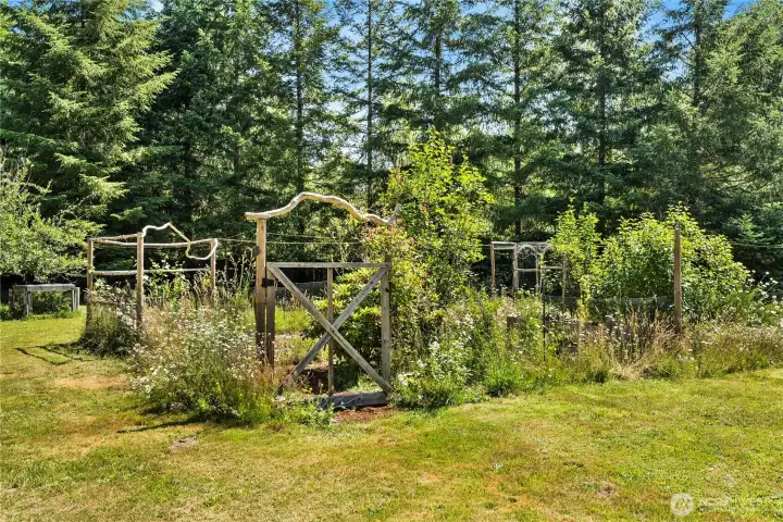 One of two large fenced gardens!