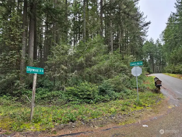 Property located at the corner of Camus Road and Edgewood Drive.
