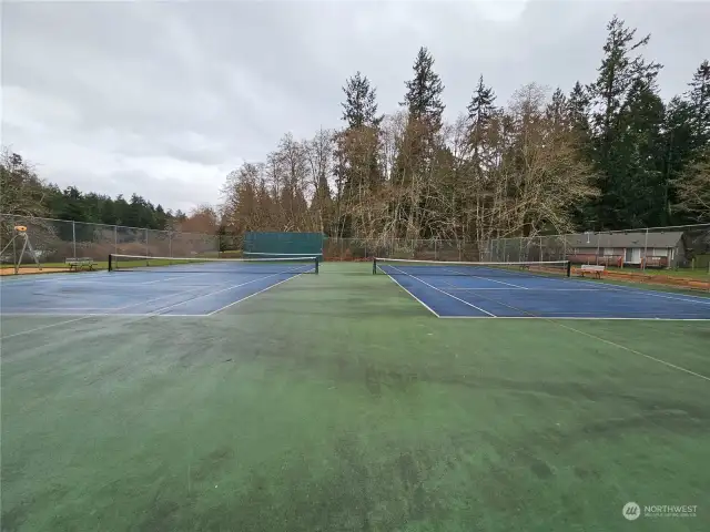 Pickleball & Tennis Court