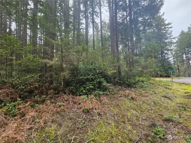 Property located at the corner of Camus Road and Edgewood Drive.