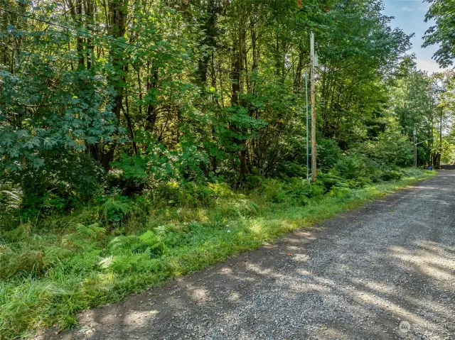 Two one acre lots; side by side. Mature trees. Level. Paved dead end street converts to gravel in front of lots.  Electricity, water and sewer in the street.