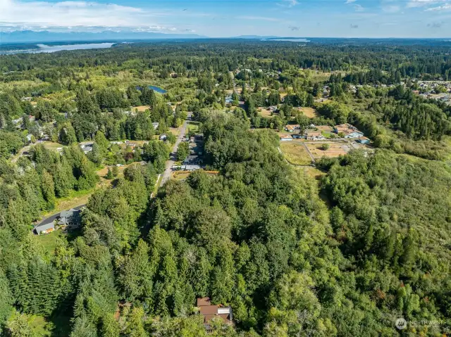 Olympia, Thurston County & Puget Sound in background.