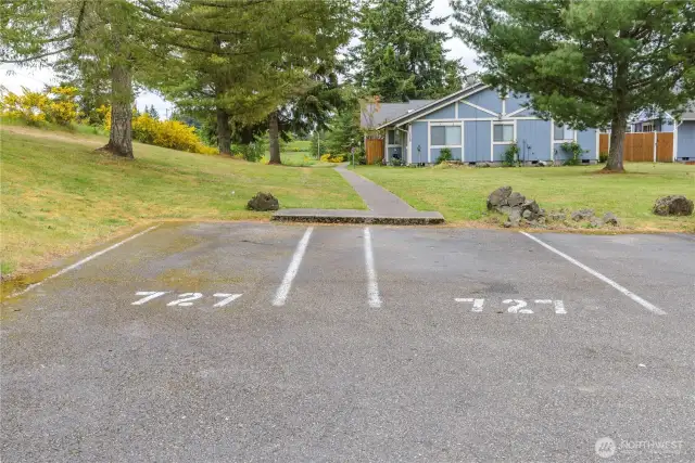 Two assigned parking spots and a path leading to home.
