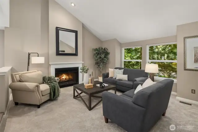 Living room with faulted ceilings