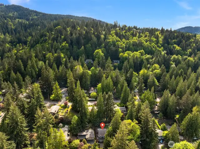 Picturesque Squak Mountain