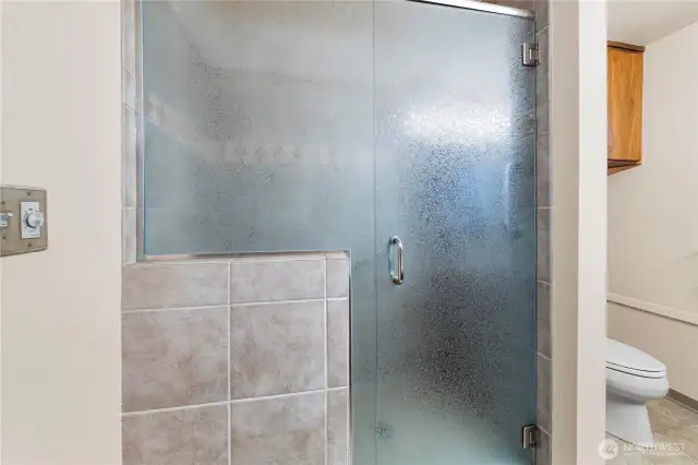 Nice big walk-in shower.