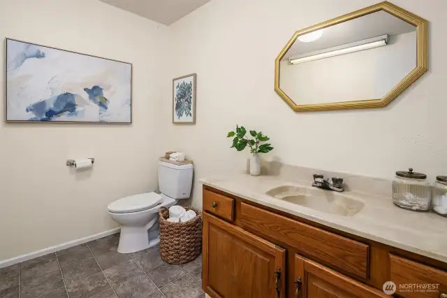 Large lower level bath