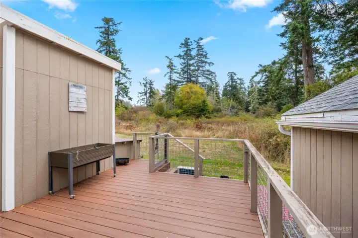 Back deck.