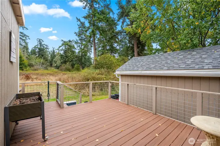 Back deck.