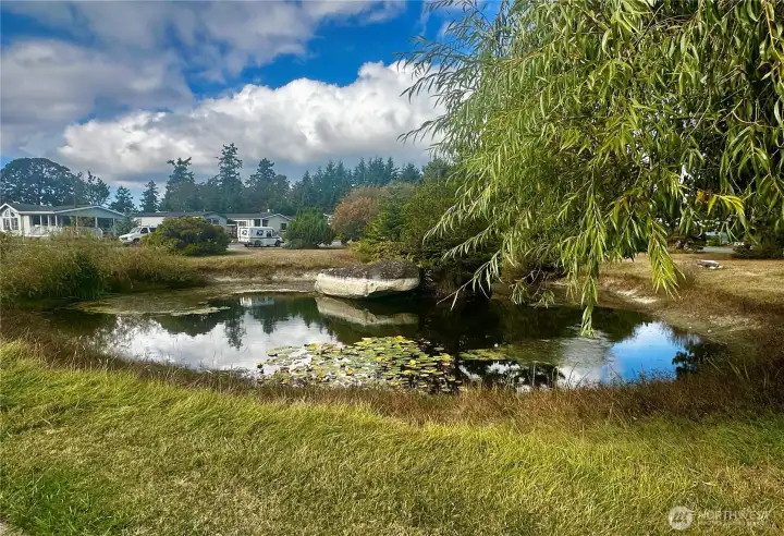 Common land in park.