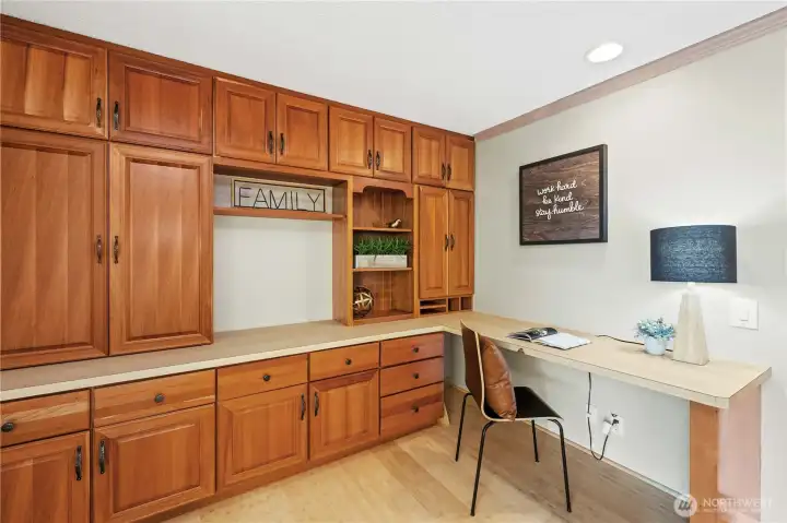 Ample Cabinet Storage Plus Pantry