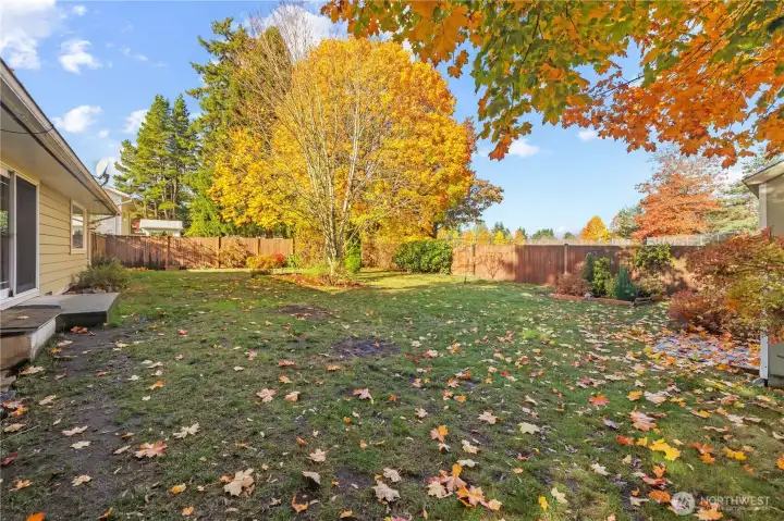 Fully Fenced Backyard