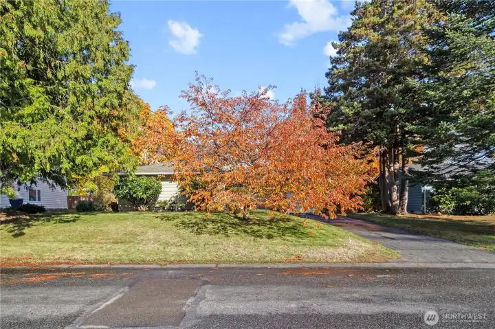 Ample Drive Way Parking