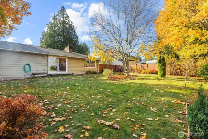 Plenty Of Space To Play