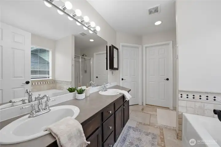 Private primary bath paired with a walk-in closet.