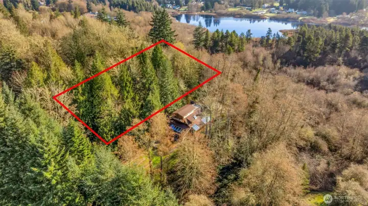Aerial 1 - over 2/3 acre of forested land in North Olympia