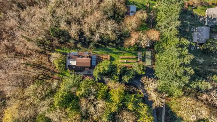 1506 Ann St NE - Aerial - over 2/3 acre of forested land in North Olympia