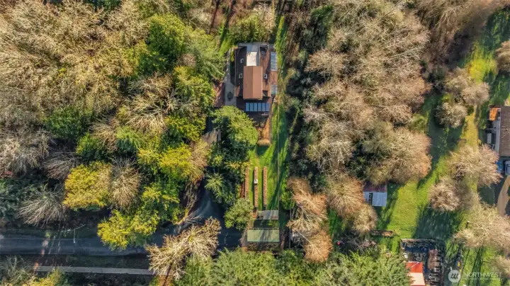 1506 Ann St NE - Aerial - over 2/3 acre of forested land in North Olympia