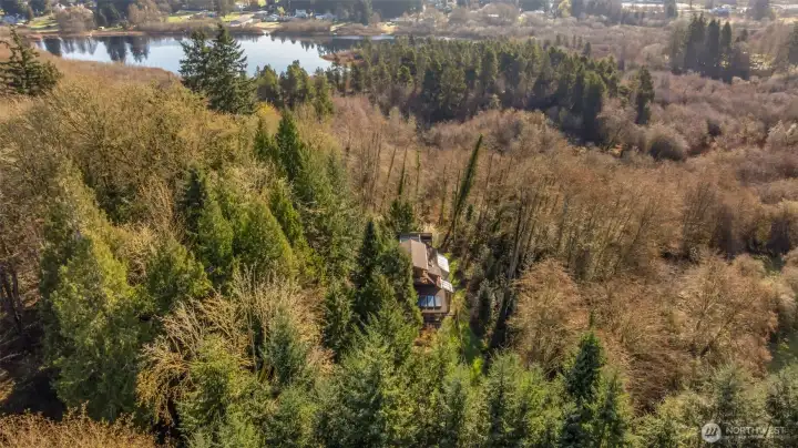 1506 Ann St NE - Aerial - over 2/3 acre of forested land in North Olympia