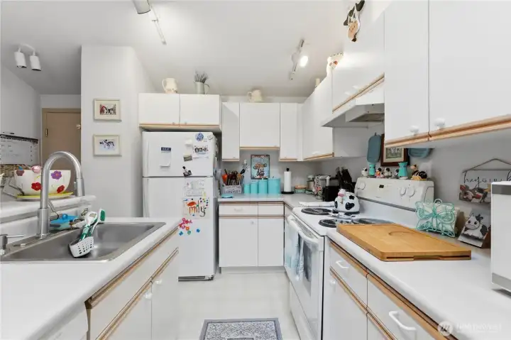 Plenty of storage and counterspace.  The door on the left goes out to the 2-car garage.