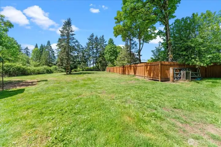Side Yard