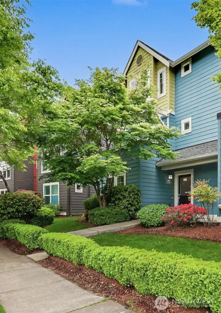 The fabulous High Point development has grown up to be a beautiful place to live.