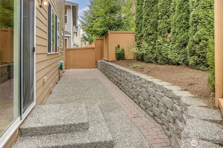 Low maintenance backyard