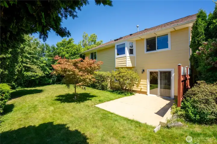 Rear property view with the daylight basement and patio and the bay window off kitchen Rear property view with the daylight basement and patio and the bay window off kitchen