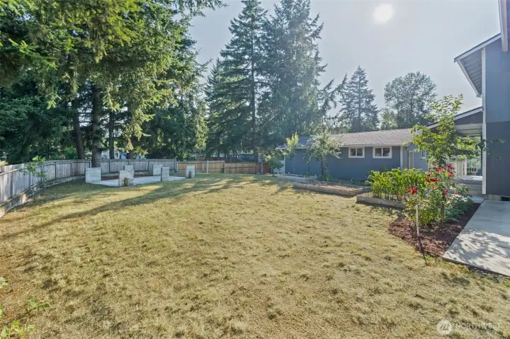 BIG front yard! BIG front yard!