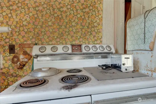 Original Wallpaper? Probably! Also notice the ironing board cabinet behind the fridge.