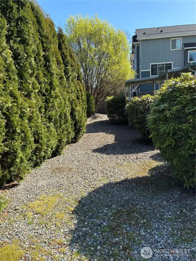 Green in Front Yard + no grass to mow.