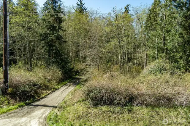 Entrance from Highway 525 to Forest View Lane