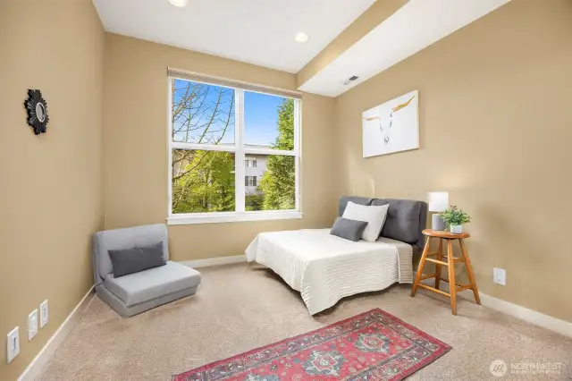 2nd bedroom, also perfect for a large office!