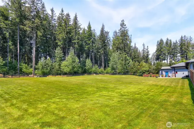 Level, fenced yard surrounded by community green space!