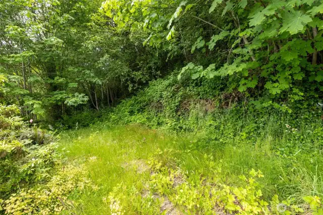 Ready to build with utilities and septic in place. Comes with full site plans, architectural designs, engineering, CAD work, and geotech evaluation already completed.