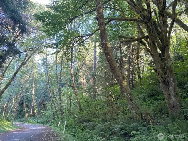 Kallman Road