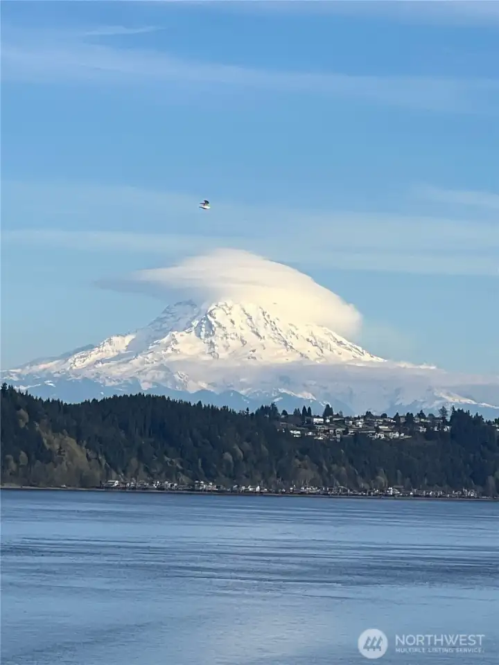 Enjoy the Mountain from your covered deck.