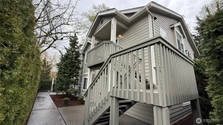 Freshly pressure washed sidewalks