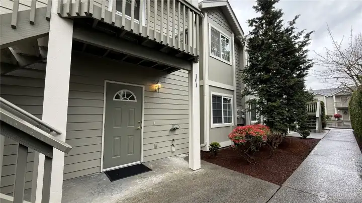 Freshly pressure washed sidewalks