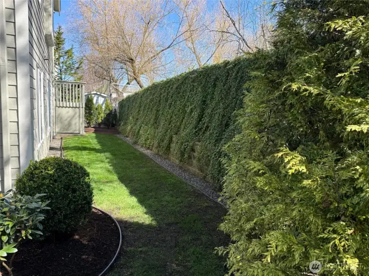 Side yard away from parking lot