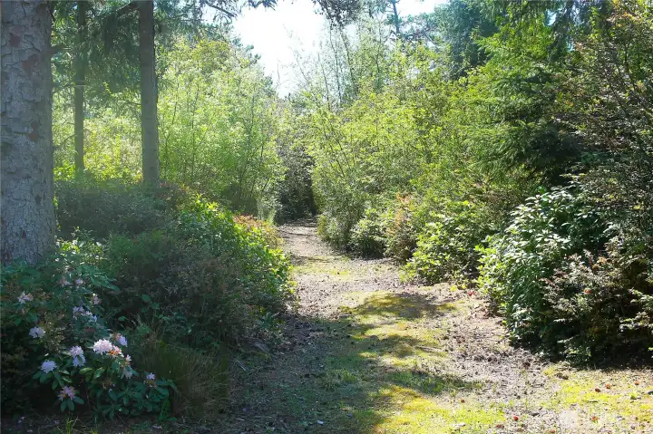 The trail to the bay