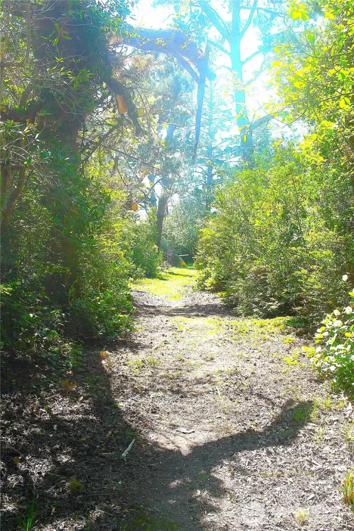 The trail leads ---