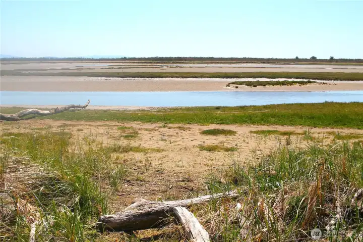 The tidal lagoon