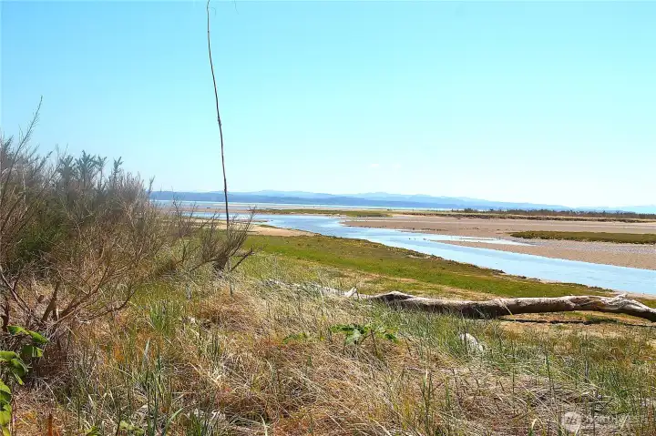 looking south to Willapa bay.