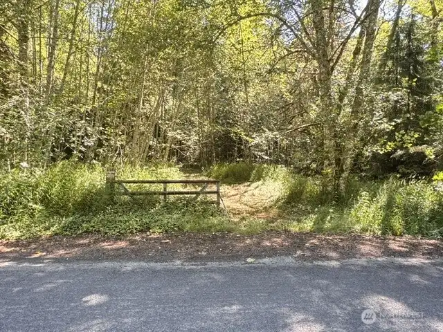 Private road runs thru most of the property given great access Private road runs thru most of the property given great access