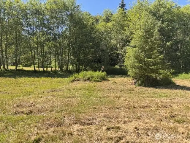 Peaceful pasture filled with wildlife Peaceful pasture filled with wildlife